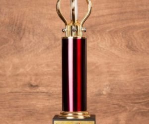 Pillar Of Support Award Rotary International