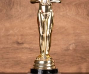 Recognition Vels University